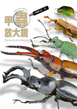 甲蟲放大鏡