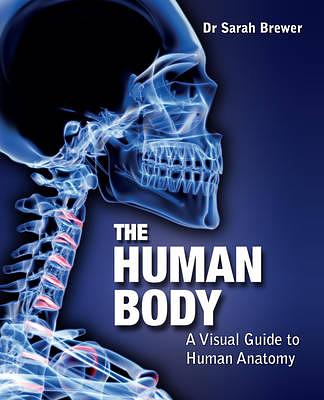 The Human Body: A Visual Guide to Human Anatomy | 誠品線上