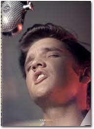 Alfred Wertheimer: Elvis and the Birth of Rock and Roll (Special Ed.)