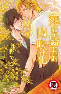 宛如盛開的山吹花 (全)