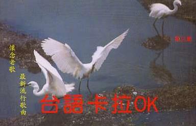 台語卡拉OK 3