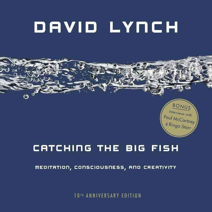 Catching the Big Fish: Meditation, Consciousness, and Creativity (10th Anniv. Ed.)