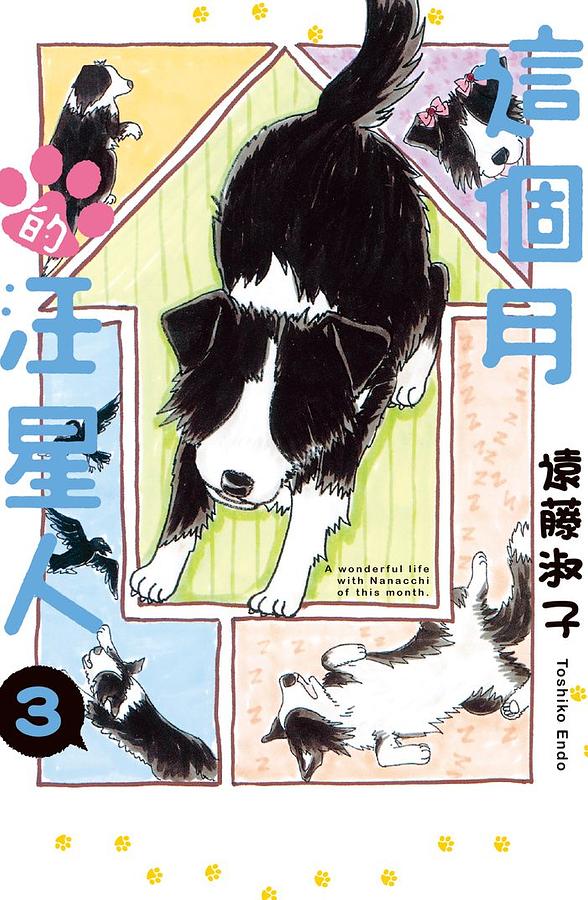 這個月的汪星人 3