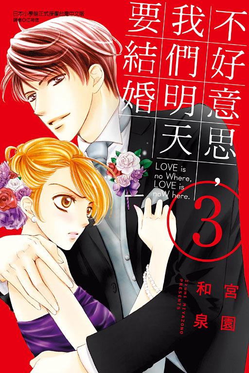 不好意思, 我們明天要結婚 3