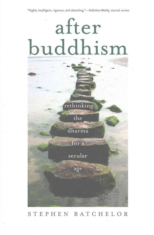 After Buddhism: Rethinking the Dharma for a Secular Age