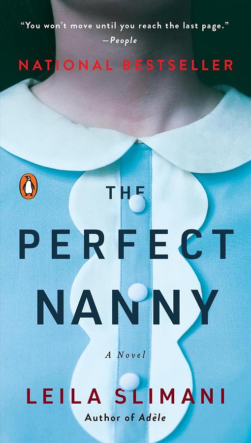 The Perfect Nanny