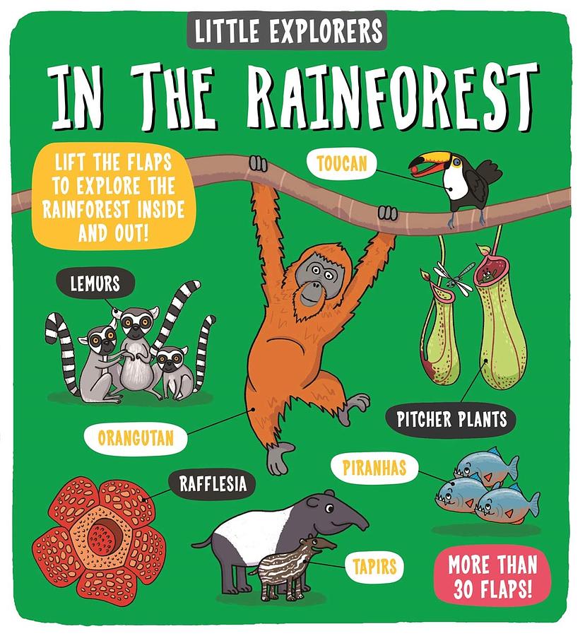 Little Explorers: In the Rain Forest