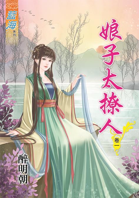 娘子太撩人 卷一