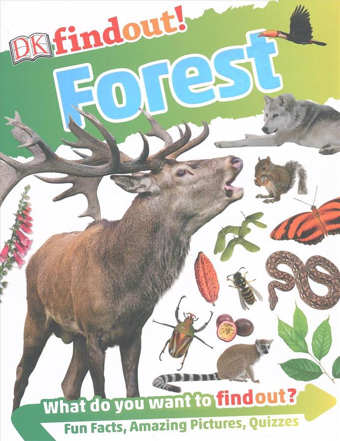 DK Findout! Forest