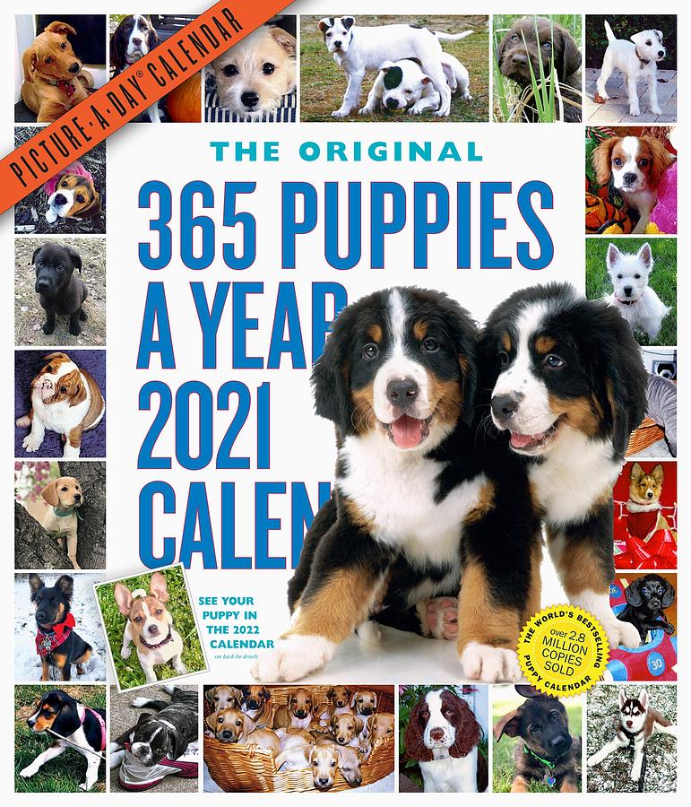 2021 workman 365 PuppiesAYear PictureADay® Wall Calendar 誠品線上