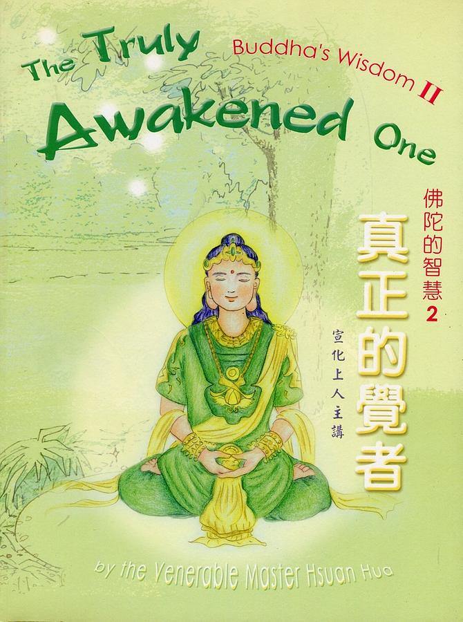 佛陀的智慧 2: 真正的覺者