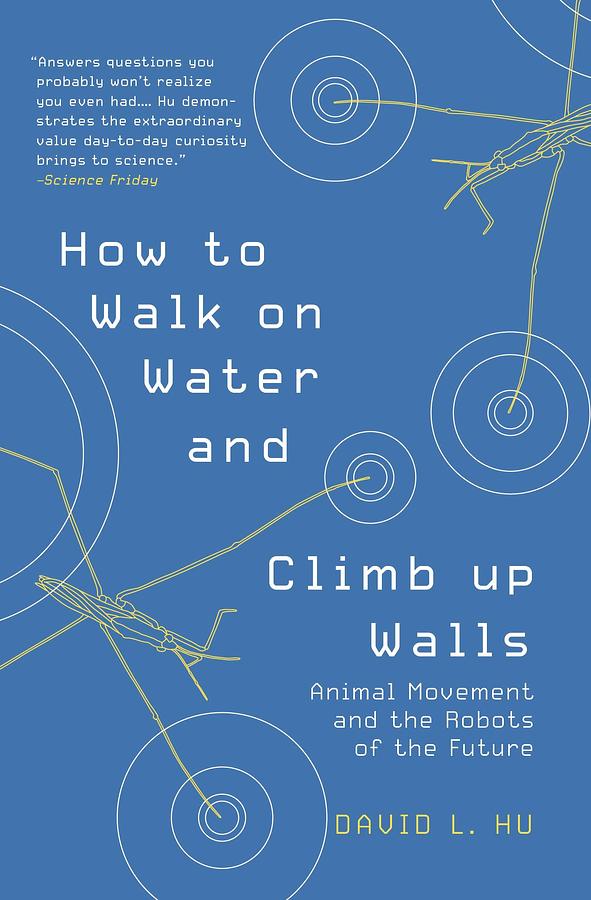 How to Walk on Water and Climb up Walls: Animal Movement and the Robots of the Future