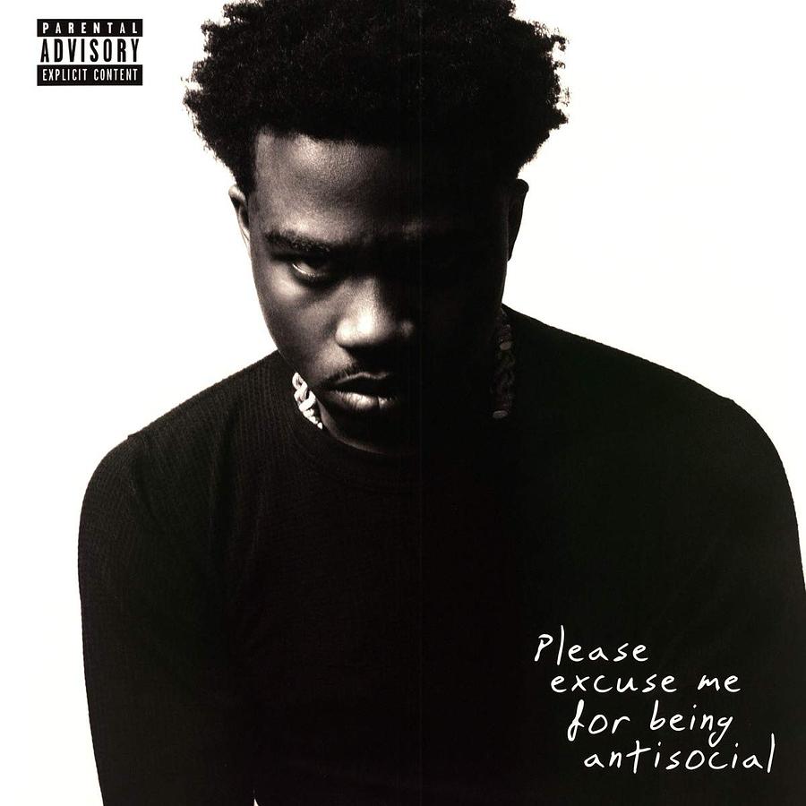 Please Excuse Me For Being Antisocial (2LP)