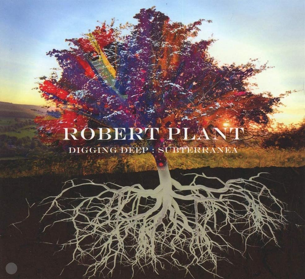 Digging Deep: Subterranea (2CD)