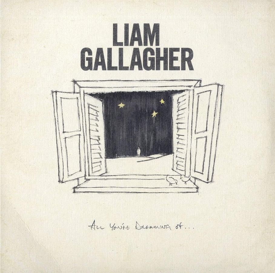 All You're Dreaming Of (7" Vinyl)