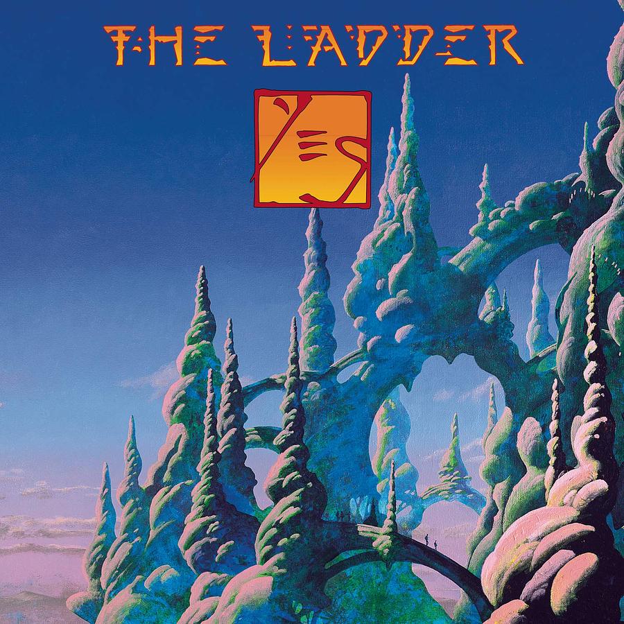 The Ladder (2LP/180g Vinyl)