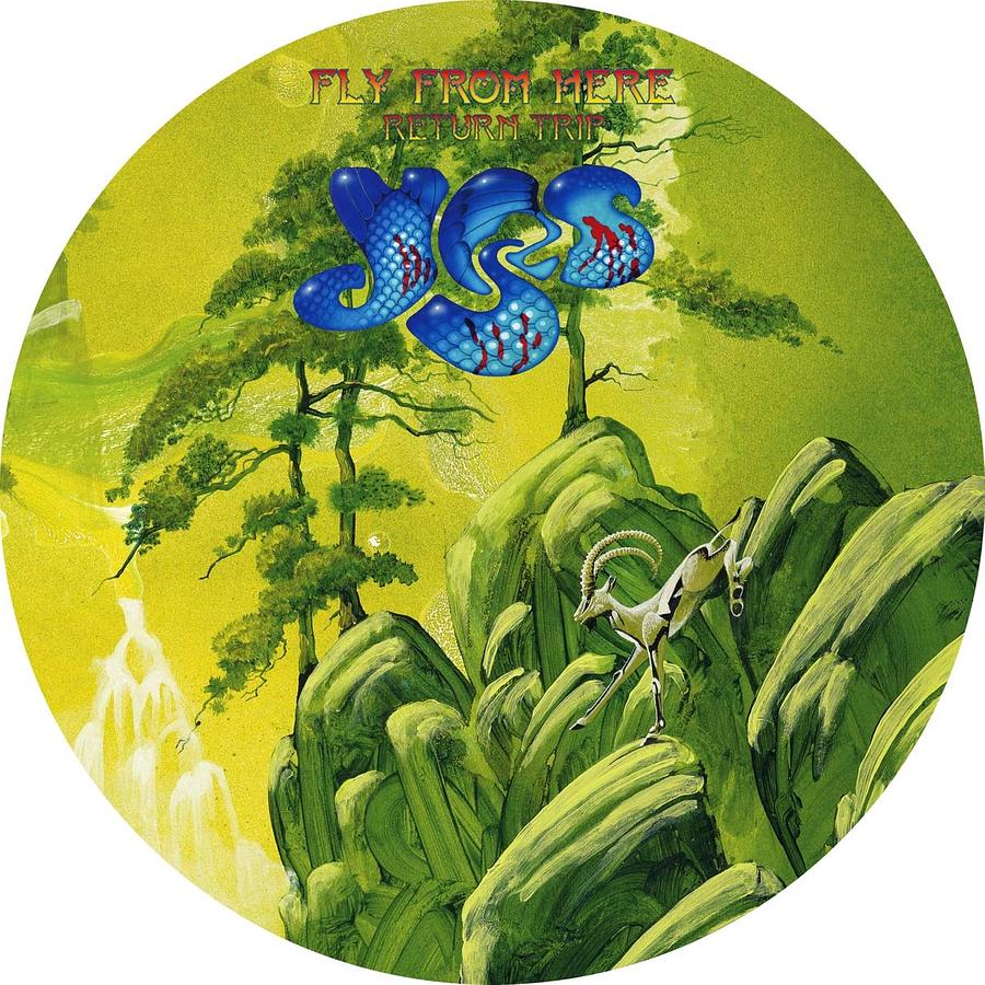 Fly From Here: Return Trip (180g Picture Disc Vinyl)