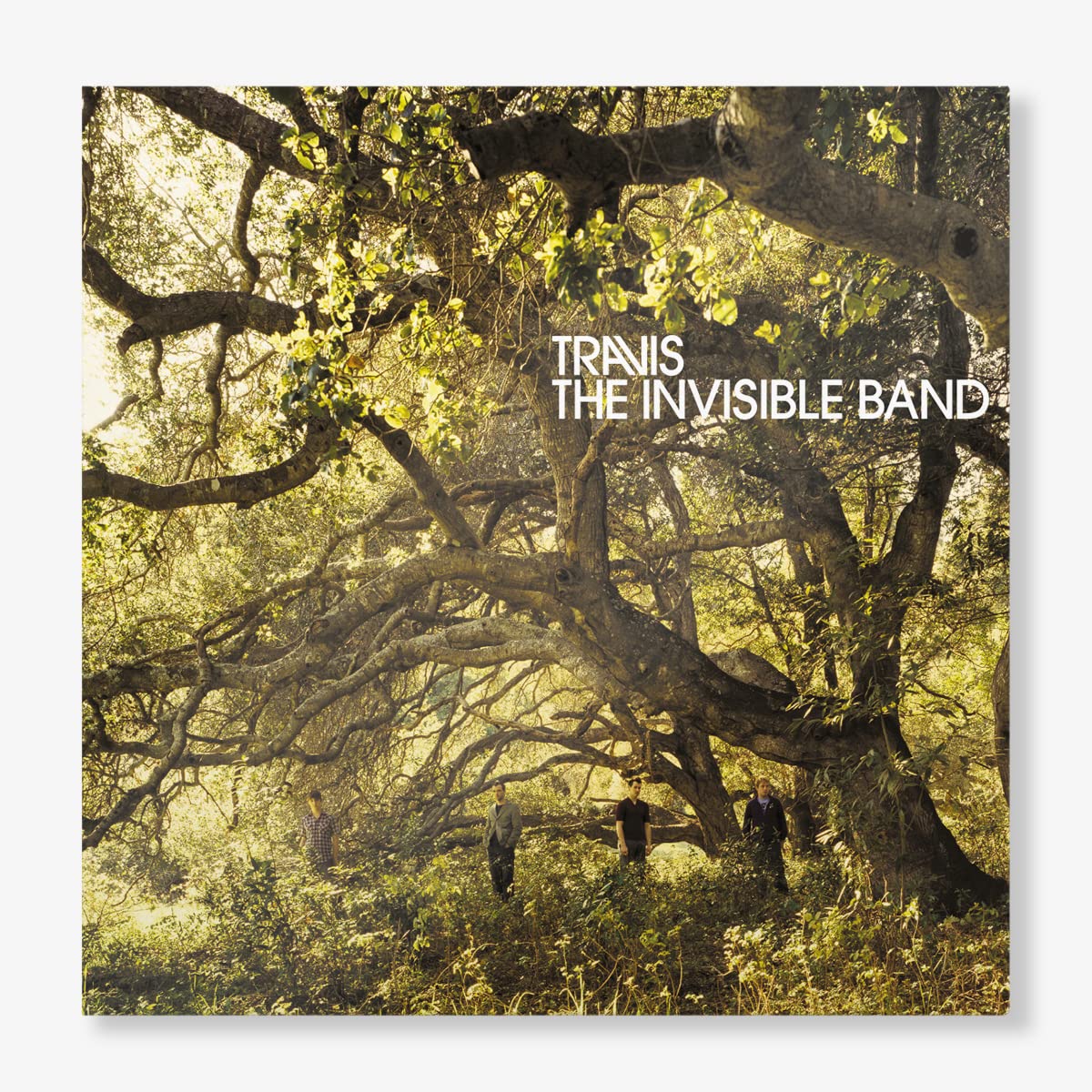The Invisible Band (20th Anniversary Edition)