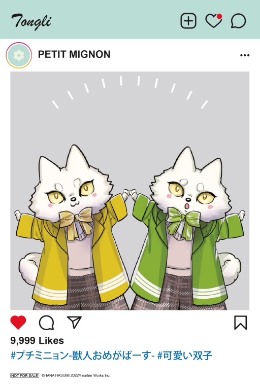 贈品說明圖