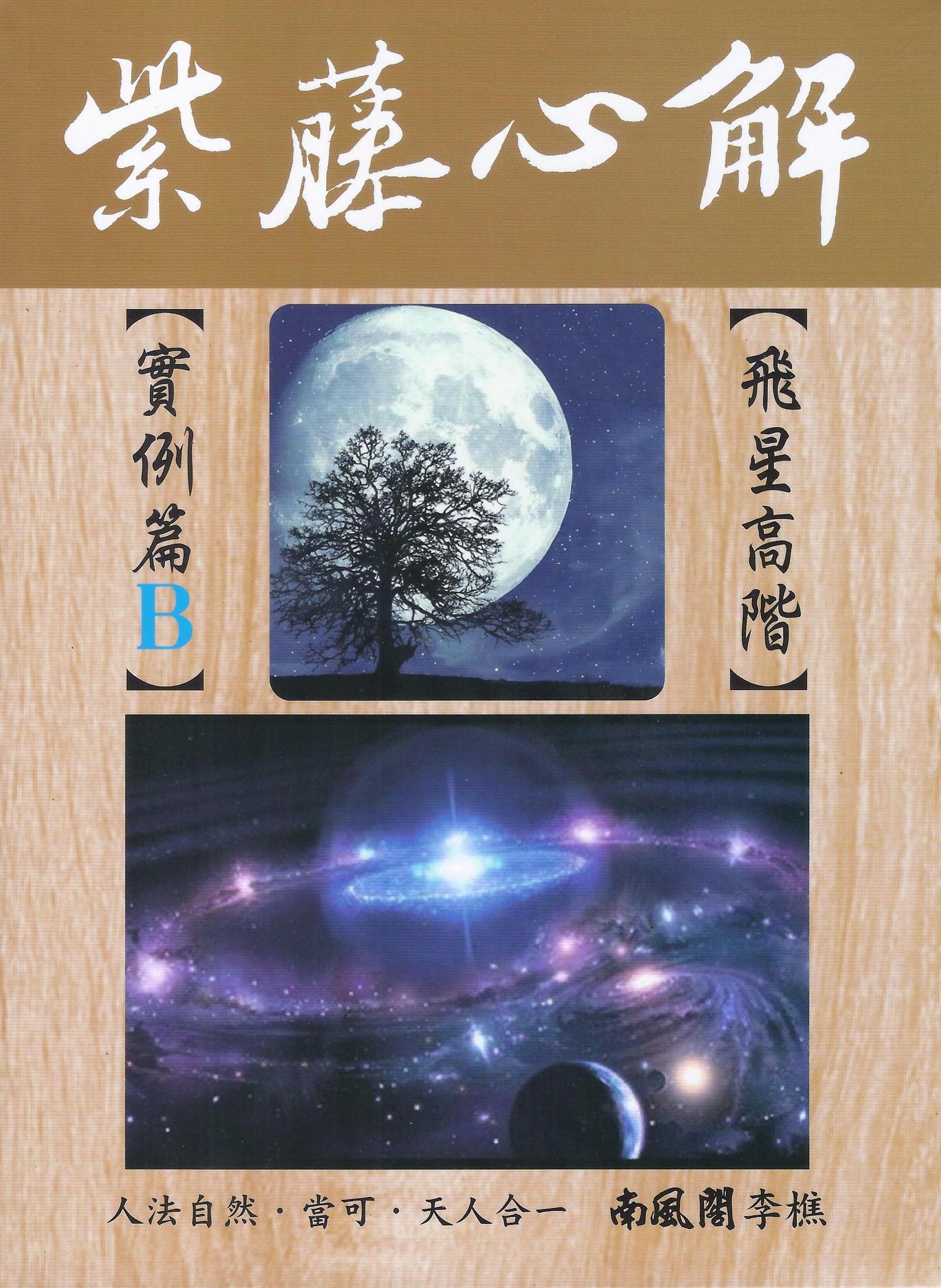 紫藤心解: 飛星高階 實例篇 B冊