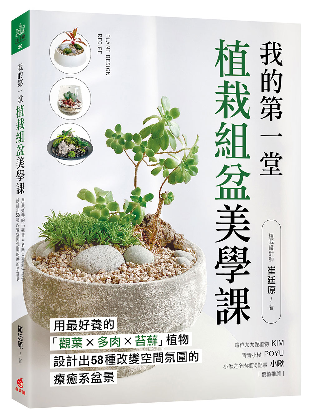 多肉的何老师