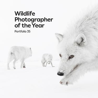 Wildlife Photographer of the Year: Portfolio 35: Volume 35