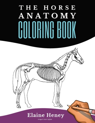 Horse Anatomy Coloring Book For Adults - Self Assessment Equine Coloring Workbook: Test Your Knowledge - For Equestrians & Veterinar