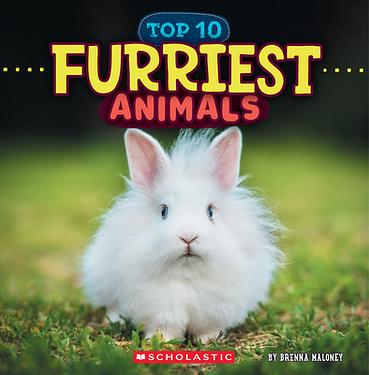Furriest Animals (Wild World: Top 10)