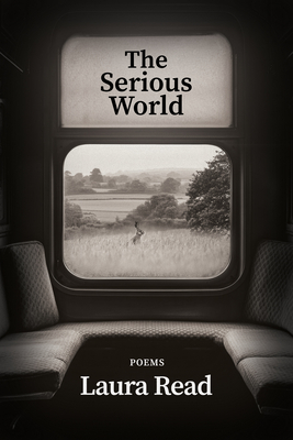 The Serious World