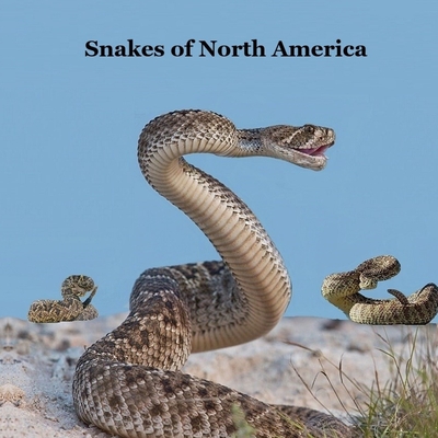 Snakes of North America Kids Book: Great Children's Book about the Types of Snakes in North America Kinsey Marie ; Billy Grinslott