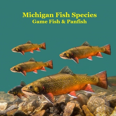 Michigan Game Fish and Panfish Species Kids Book: Great Book About the Different Types of Fish in Michigan Kinsey Marie ; Billy Grinslott