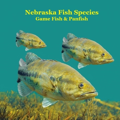 Nebraska Game Fish and Panfish Species Kids Book: Great Book About the Different Types of Fish in Nebraska Kinsey Marie ; Billy Grinslott