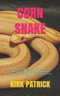 Corn Snake Every Detailed Thing About Corn Snake Their Behavior