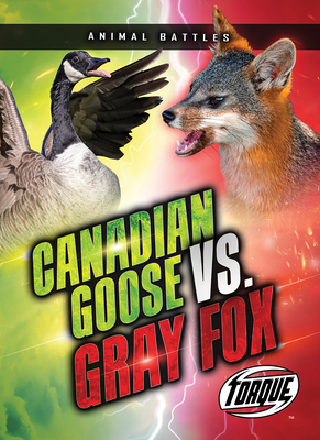 Canada Goose vs. Gray Fox Nathan Sommer