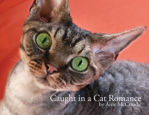 Caught in a Cat Romance