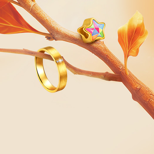 🍁秋冬金飾9折up