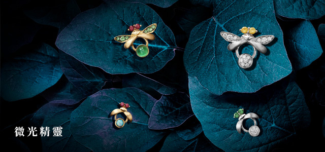 林曉同-微光精靈